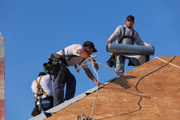 Professional Roofing Contractor in Mount Repose, OH
